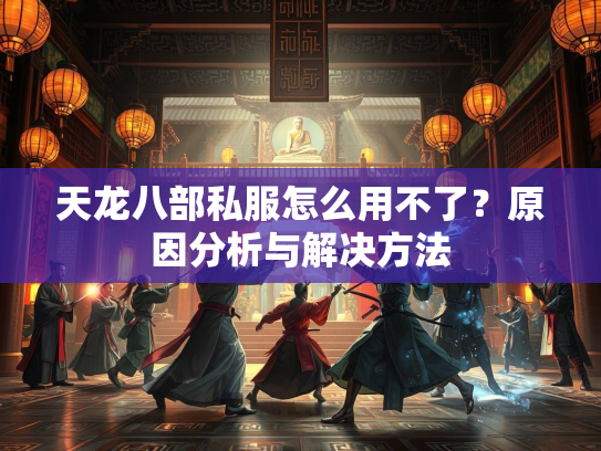 天龙八部私服怎么用不了？原因分析与解决方法