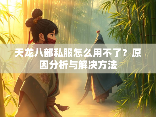 天龙八部私服怎么用不了？原因分析与解决方法