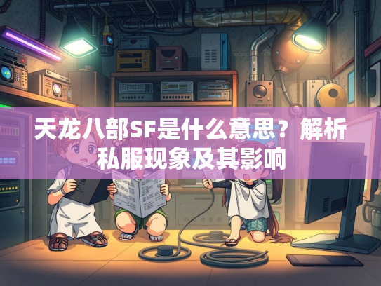 天龙八部SF是什么意思？解析私服现象及其影响