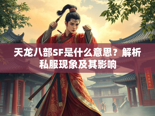 天龙八部SF是什么意思？解析私服现象及其影响