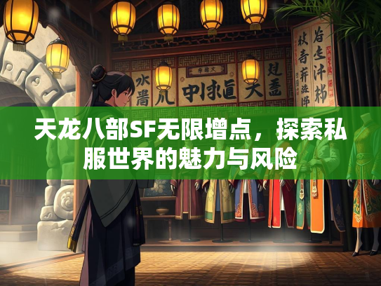 天龙八部SF无限增点，探索私服世界的魅力与风险  第2张