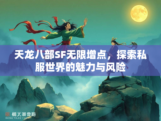 天龙八部SF无限增点，探索私服世界的魅力与风险