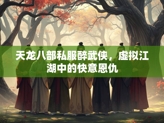 天龙八部私服醉武侠，虚拟江湖中的快意恩仇