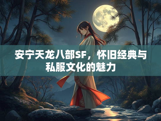 安宁天龙八部SF，怀旧经典与私服文化的魅力