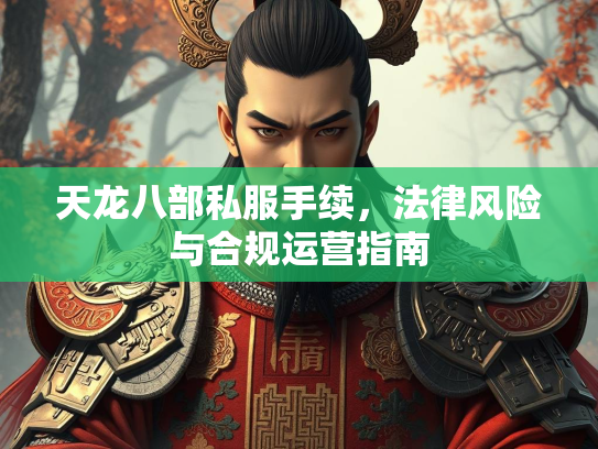 天龙八部私服手续，法律风险与合规运营指南