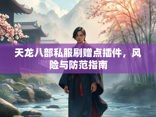 天龙八部私服刷赠点插件，风险与防范指南