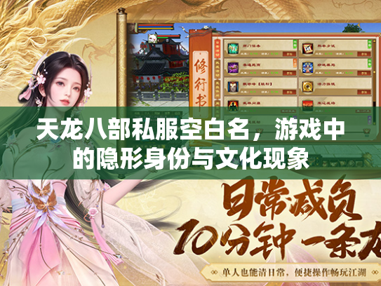 天龙八部私服空白名，游戏中的隐形身份与文化现象  第2张