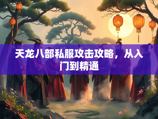 天龙八部私服攻击攻略，从入门到精通  第2张