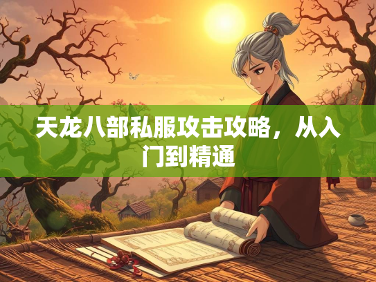 天龙八部私服攻击攻略，从入门到精通