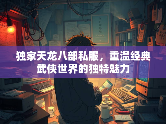 独家天龙八部私服，重温经典武侠世界的独特魅力  第3张