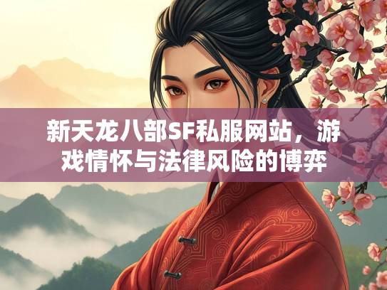 新天龙八部SF私服网站，游戏情怀与法律风险的博弈