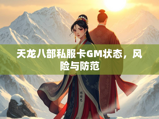 天龙八部私服卡GM状态，风险与防范  第2张