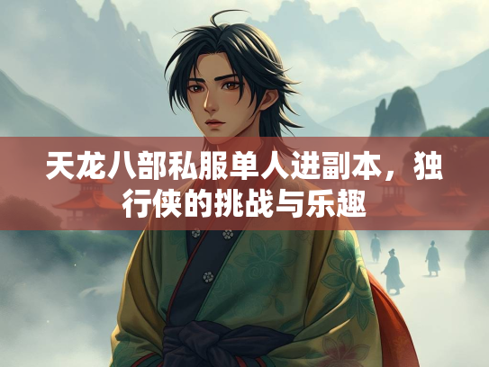 天龙八部私服单人进副本，独行侠的挑战与乐趣  第2张