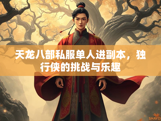 天龙八部私服单人进副本，独行侠的挑战与乐趣  第3张