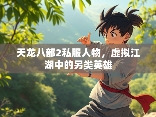 天龙八部2私服人物，虚拟江湖中的另类英雄  第3张
