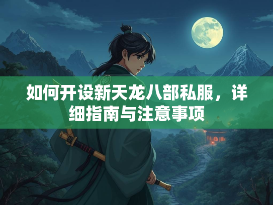 如何开设新天龙八部私服，详细指南与注意事项  第2张