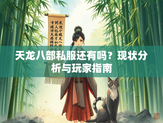 天龙八部私服还有吗？现状分析与玩家指南