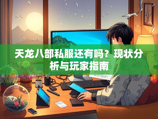 天龙八部私服还有吗？现状分析与玩家指南