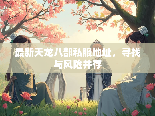 最新天龙八部私服地址，寻找与风险并存