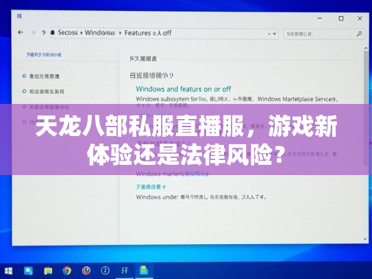 天龙八部私服直播服，游戏新体验还是法律风险？