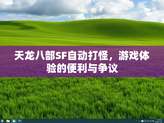天龙八部SF自动打怪，游戏体验的便利与争议