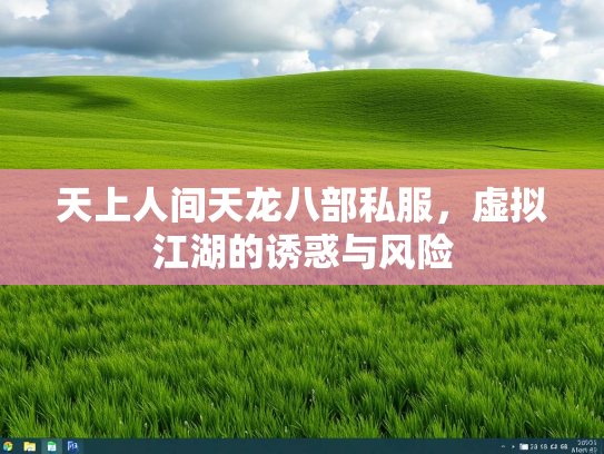 天上人间天龙八部私服，虚拟江湖的诱惑与风险
