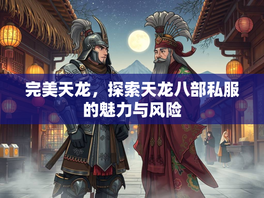 完美天龙，探索天龙八部私服的魅力与风险