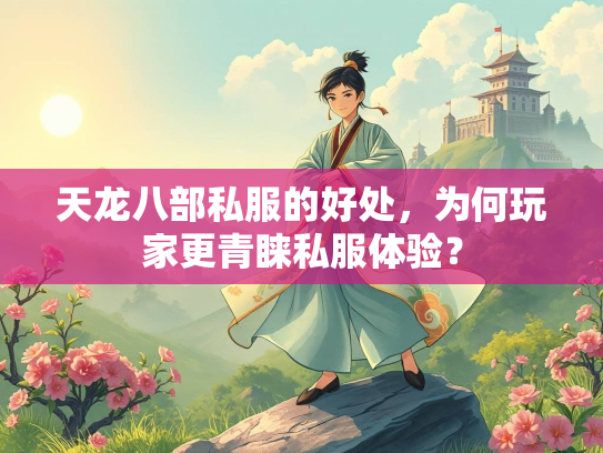 天龙八部私服的好处，为何玩家更青睐私服体验？