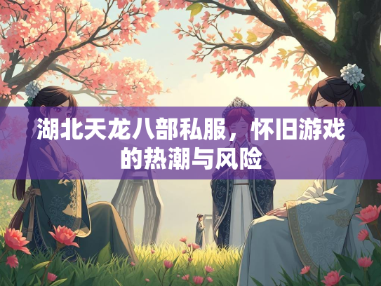 湖北天龙八部私服，怀旧游戏的热潮与风险