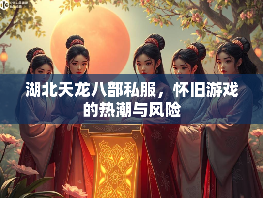 湖北天龙八部私服，怀旧游戏的热潮与风险