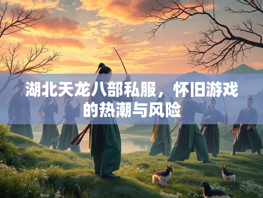 湖北天龙八部私服，怀旧游戏的热潮与风险