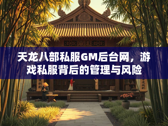 天龙八部私服GM后台网，游戏私服背后的管理与风险