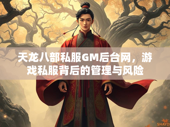 天龙八部私服GM后台网，游戏私服背后的管理与风险