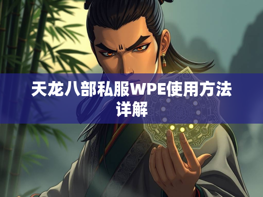 天龙八部私服WPE使用方法详解  第2张
