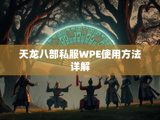 天龙八部私服WPE使用方法详解  第3张