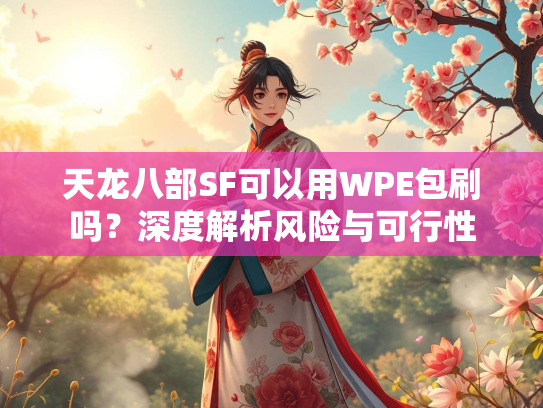天龙八部SF可以用WPE包刷吗？深度解析风险与可行性