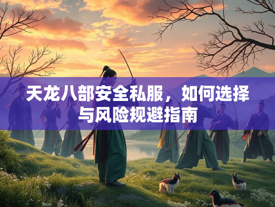 天龙八部安全私服，如何选择与风险规避指南