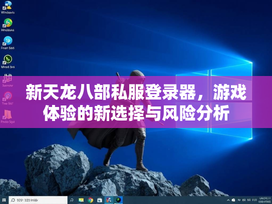 新天龙八部私服登录器，游戏体验的新选择与风险分析