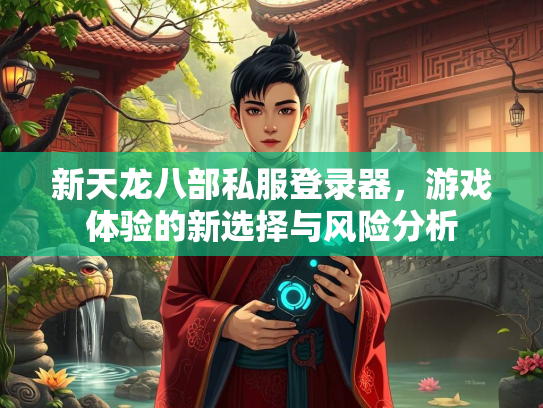 新天龙八部私服登录器，游戏体验的新选择与风险分析
