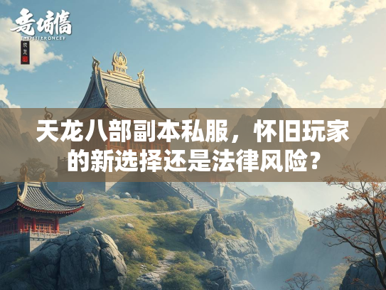 天龙八部副本私服，怀旧玩家的新选择还是法律风险？