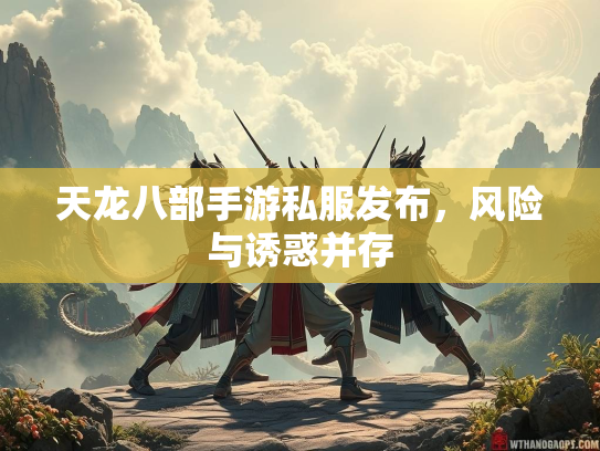 天龙八部手游私服发布，风险与诱惑并存