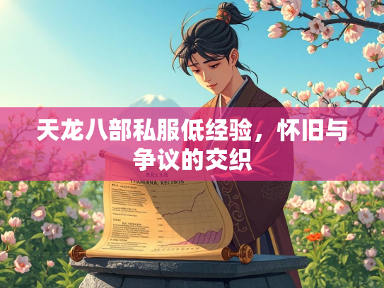 天龙八部私服低经验，怀旧与争议的交织