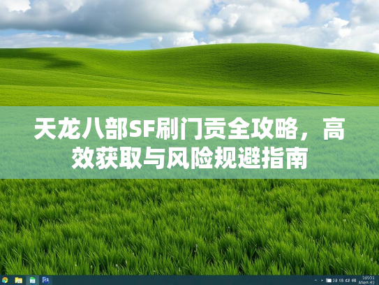 天龙八部SF刷门贡全攻略，高效获取与风险规避指南