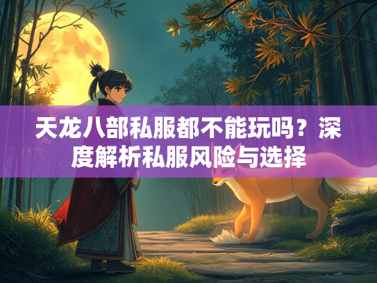 天龙八部私服都不能玩吗？深度解析私服风险与选择  第2张