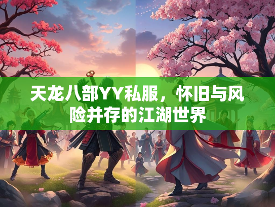 天龙八部YY私服，怀旧与风险并存的江湖世界
