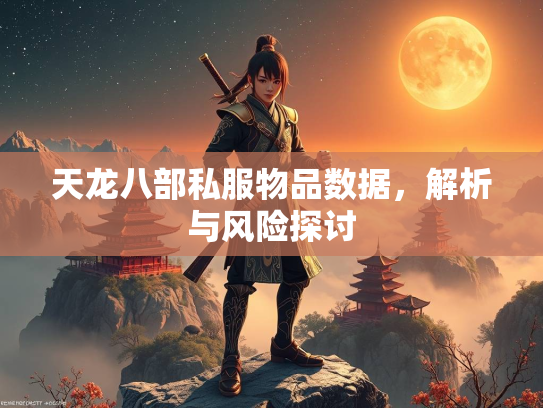 天龙八部私服物品数据，解析与风险探讨  第1张