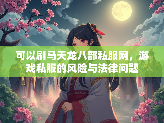 可以刷马天龙八部私服网，游戏私服的风险与法律问题  第2张