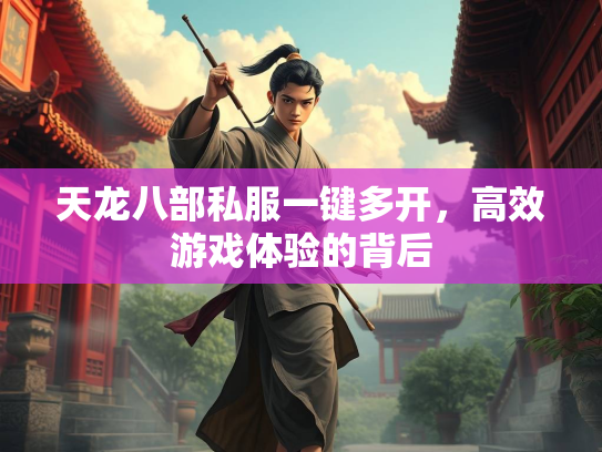 天龙八部私服一键多开，高效游戏体验的背后  第3张