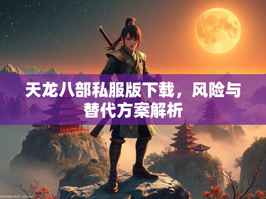 天龙八部私服版下载，风险与替代方案解析  第2张