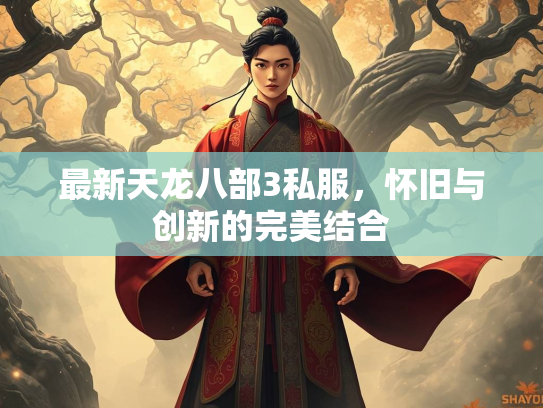最新天龙八部3私服，怀旧与创新的完美结合  第2张